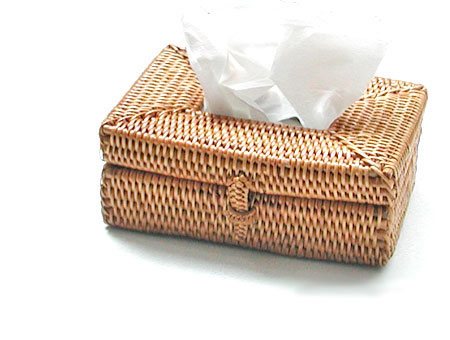 pocket-tissue-case