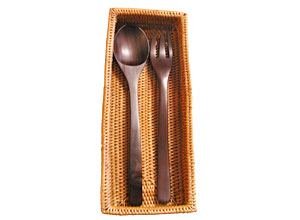 spoon-case1-2