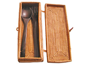 spoon-case2-3